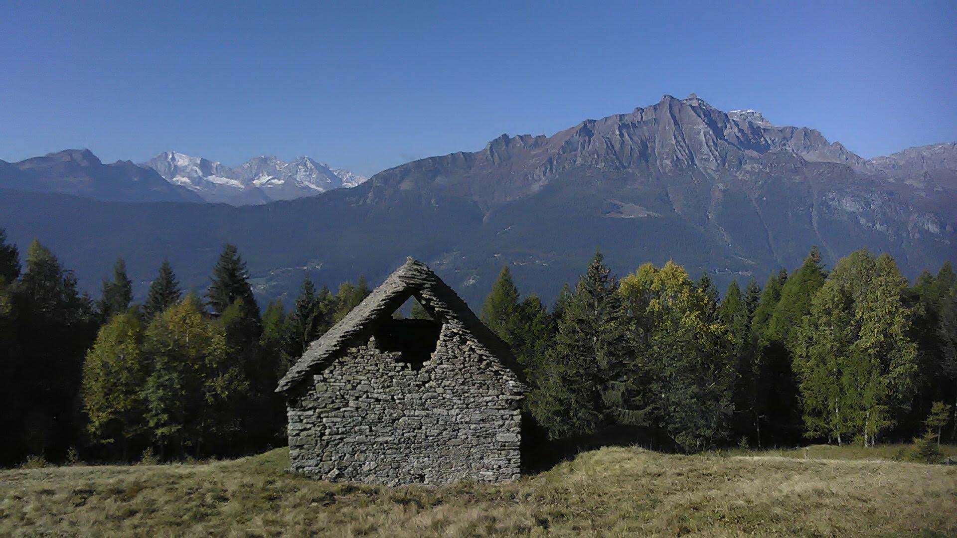 IMG-20211017-WA0004