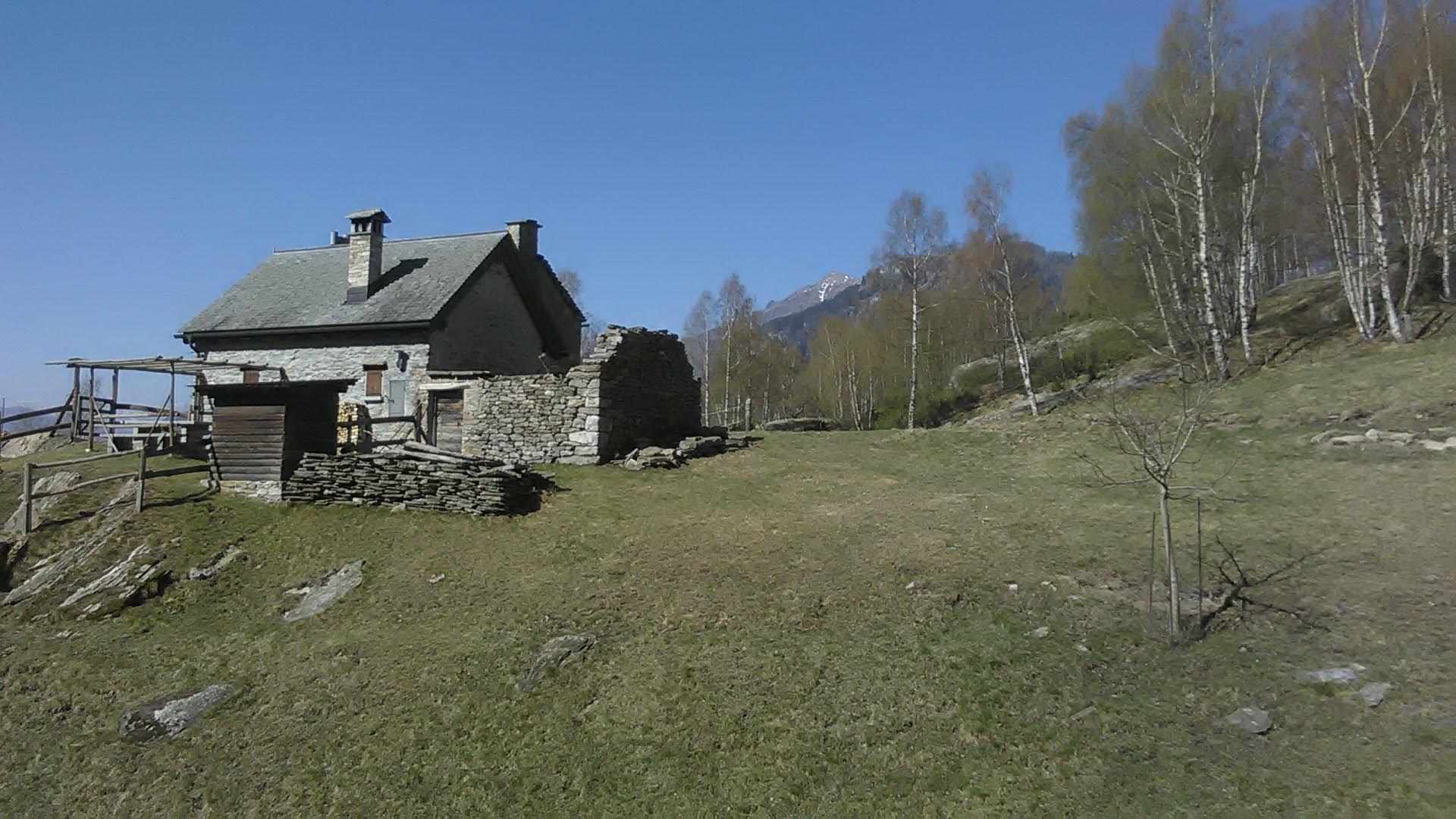 IMG-20220418-WA0003