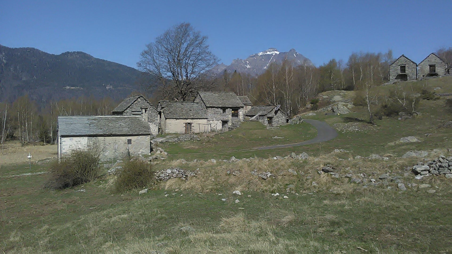 IMG-20220418-WA0007