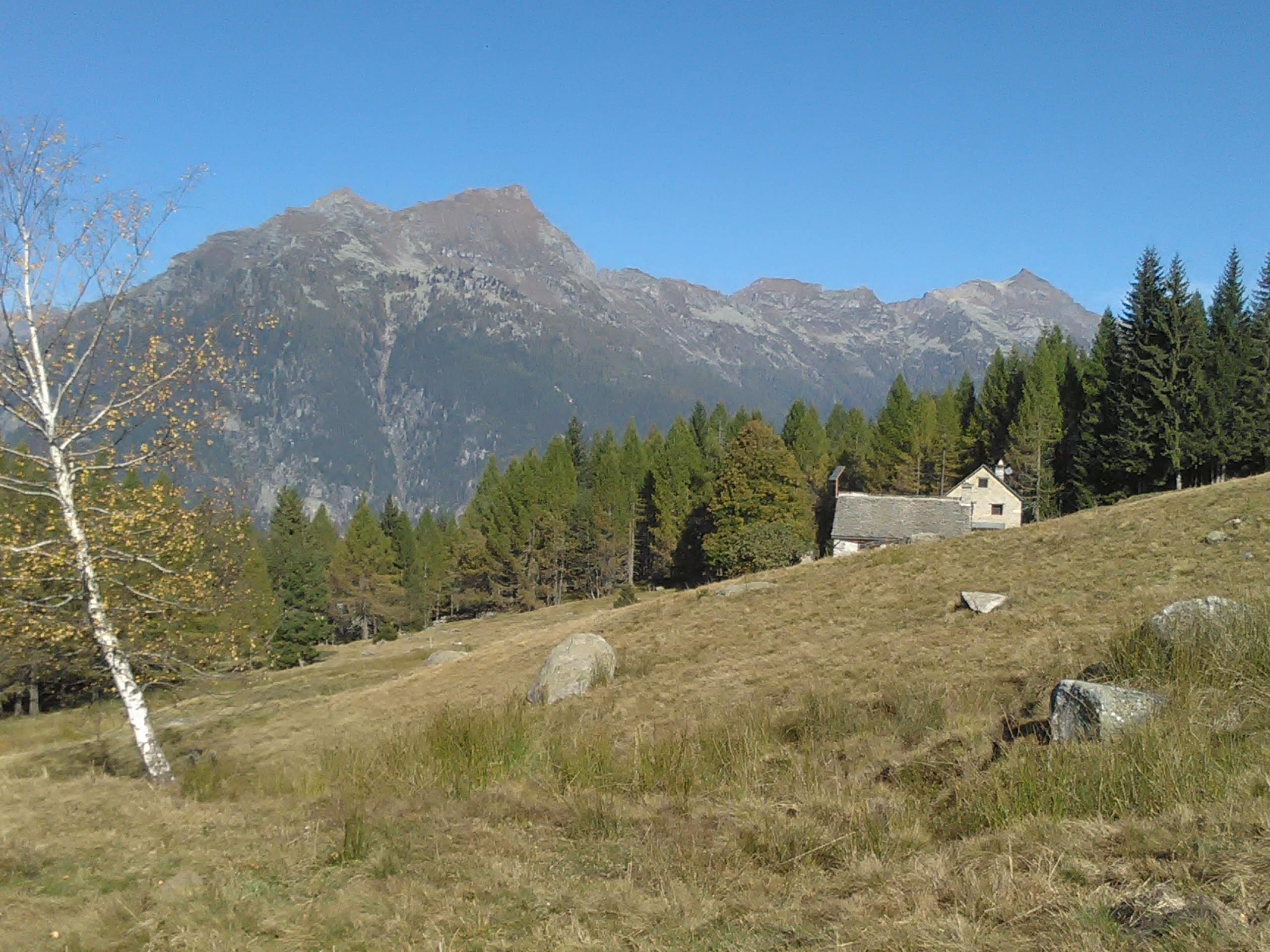 IMG_20211017_110921