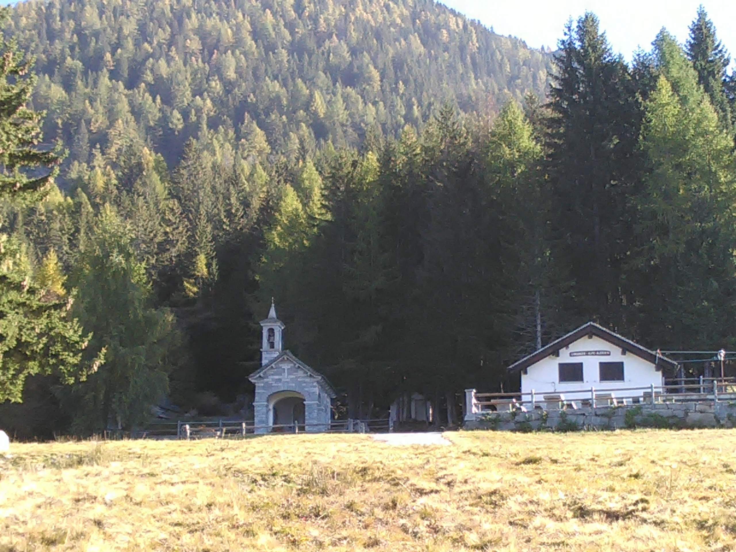 IMG_20211017_110953