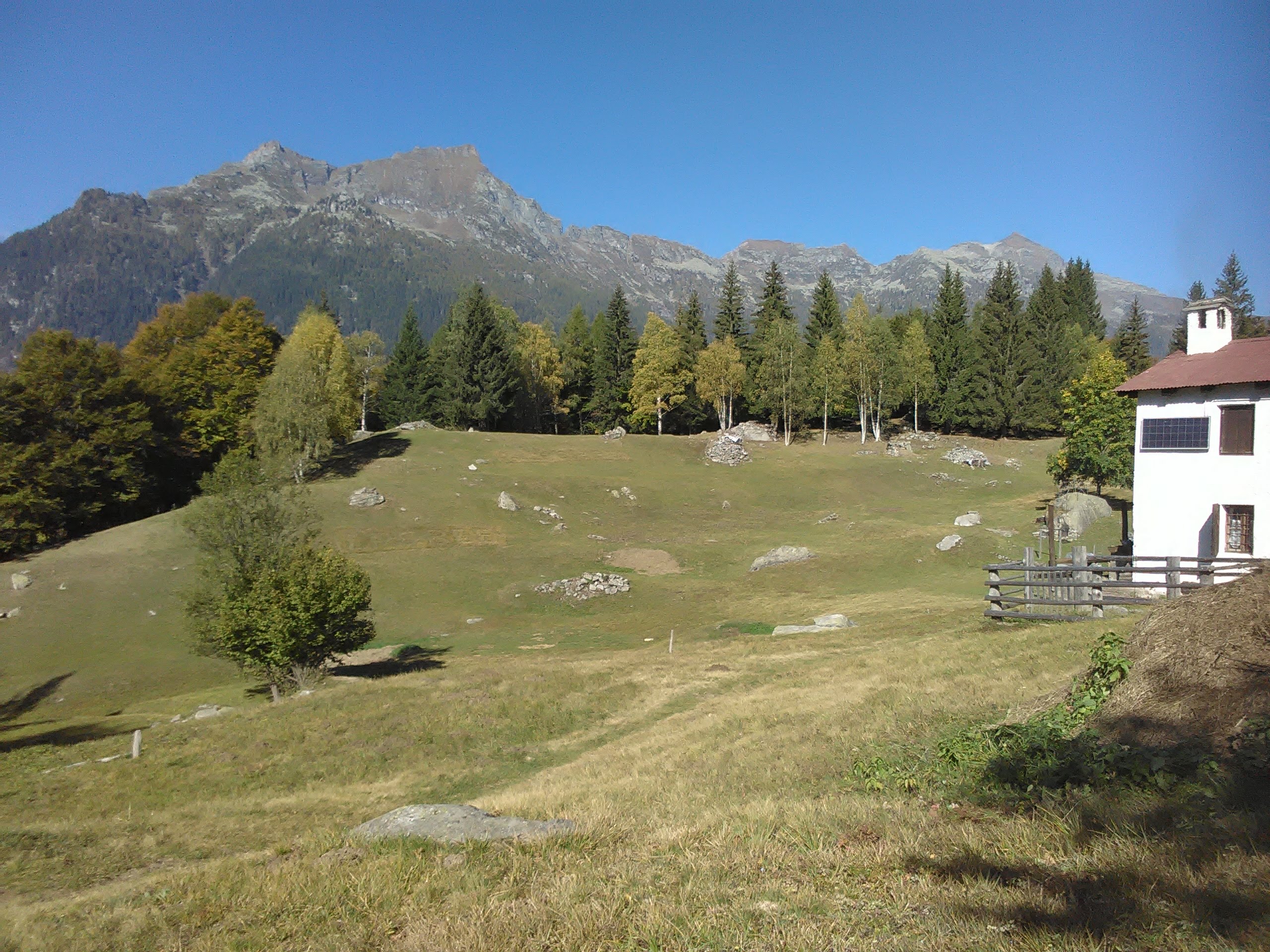 IMG_20211017_121313