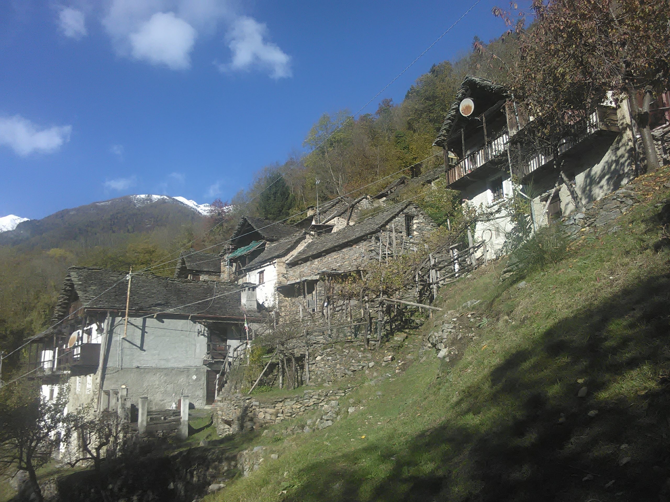 IMG_20211102_102136