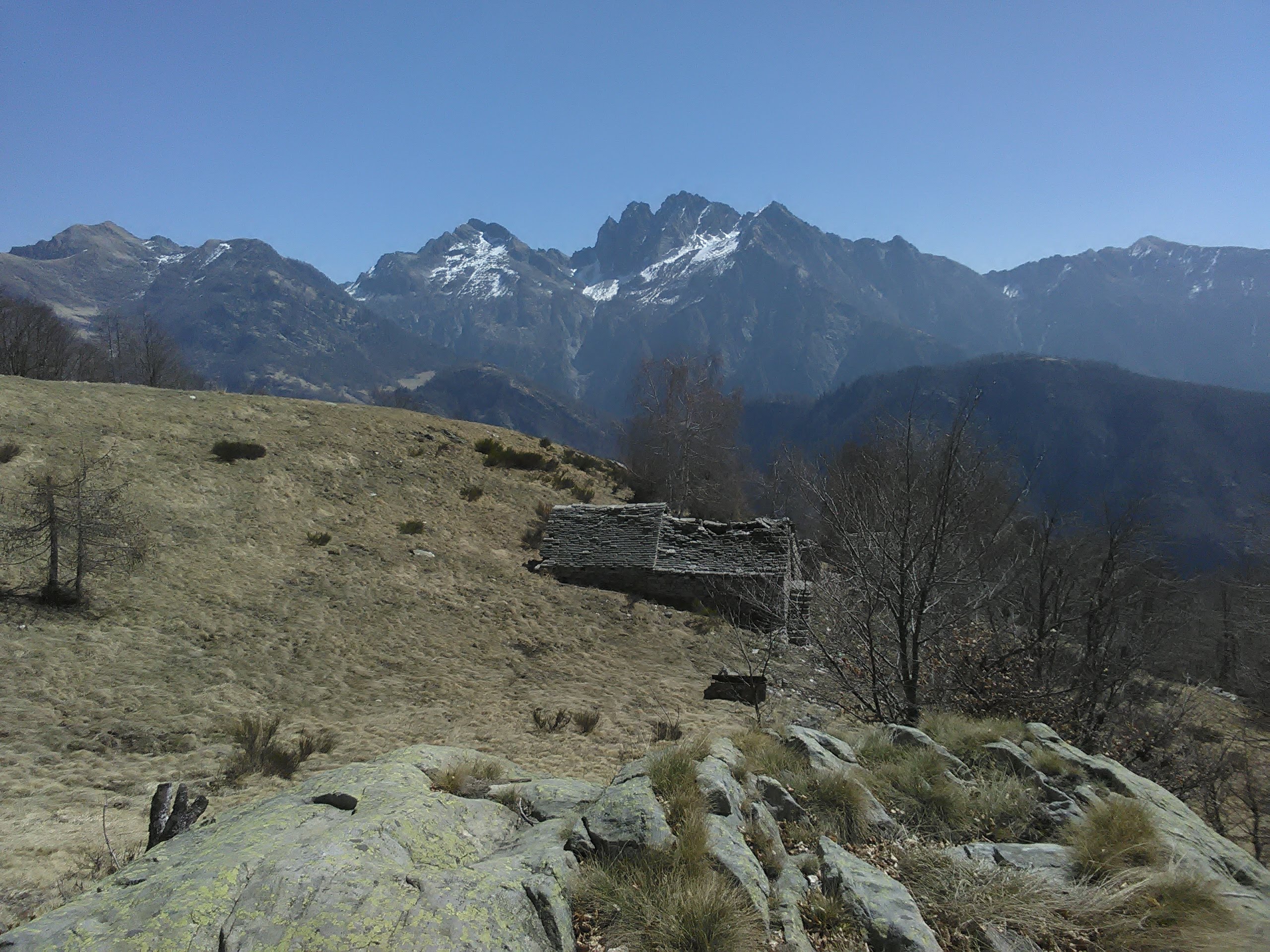 IMG_20220418_122849