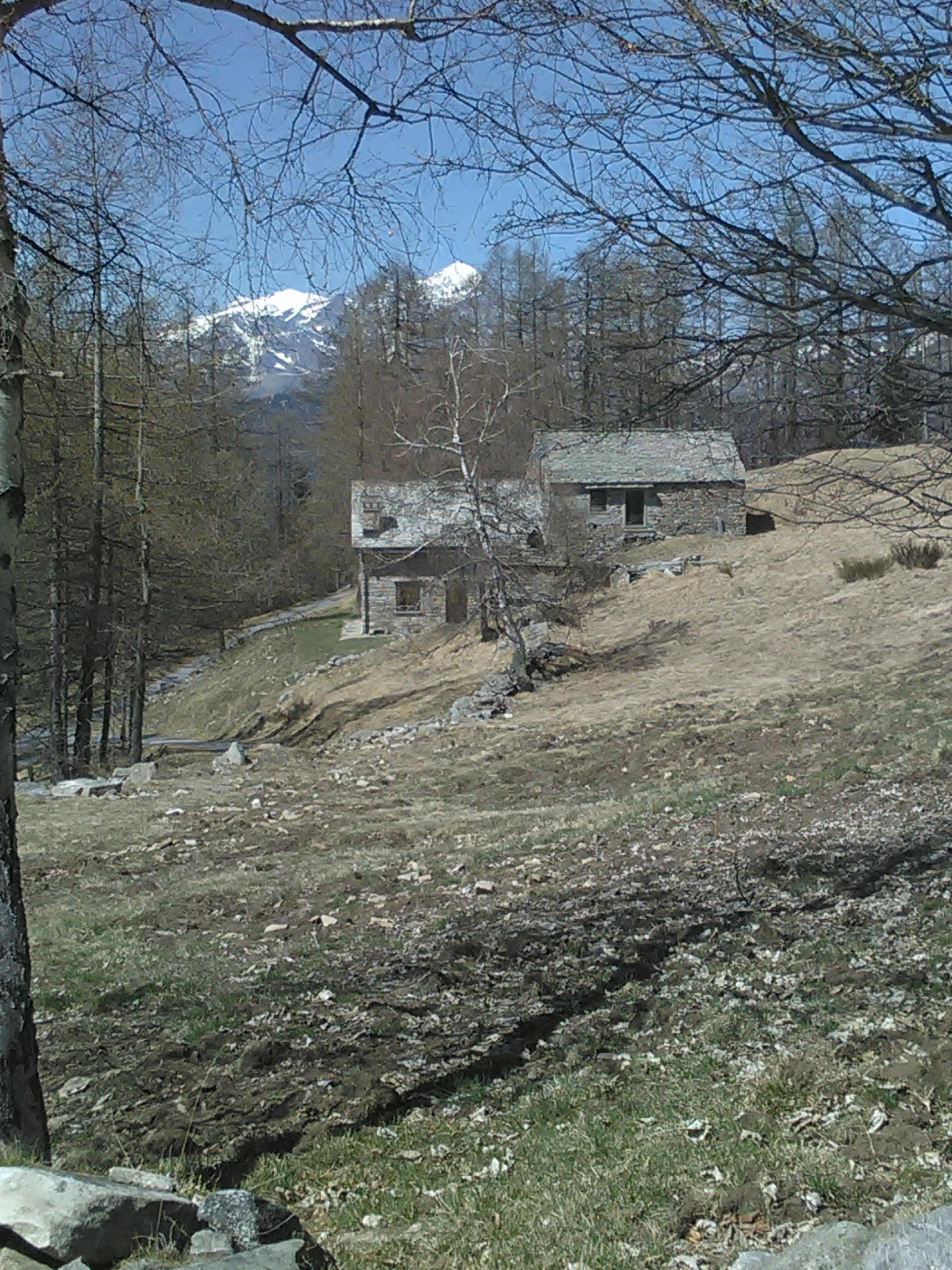 IMG_20220418_123324