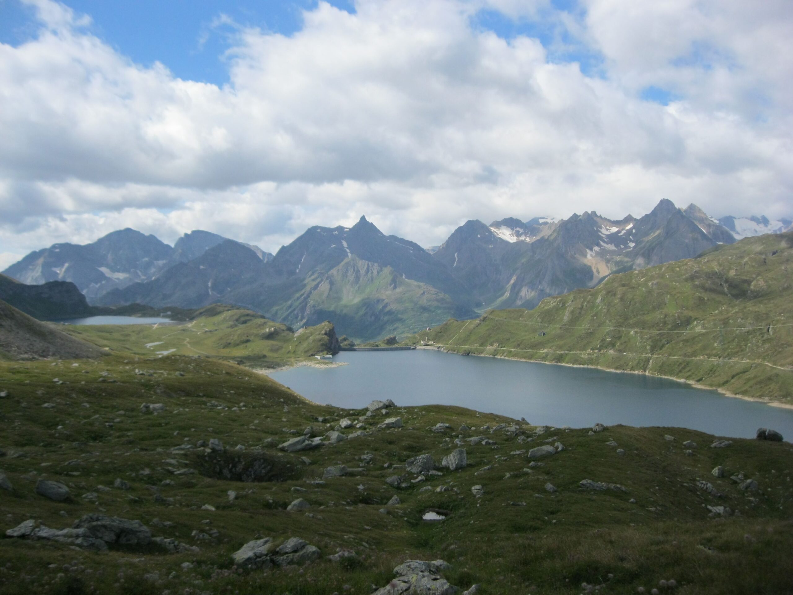 IMG_5904 (1)