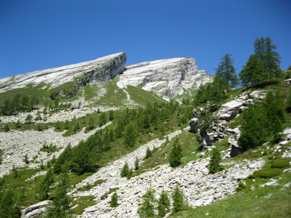 IMG_0834 (2)