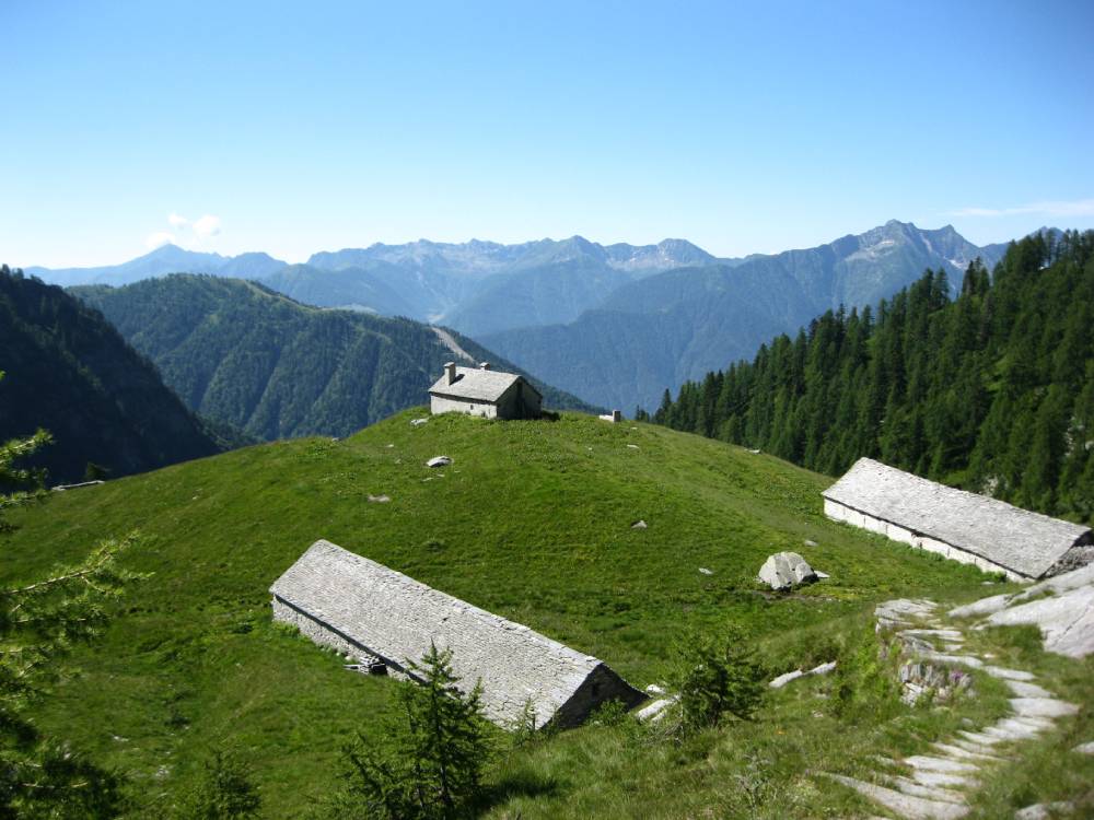 IMG_0835 (2)