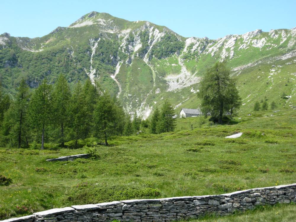 IMG_0860 (2)