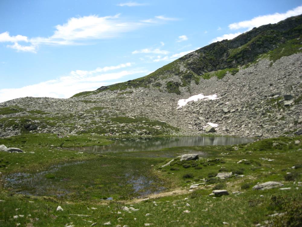 IMG_0881 (2)