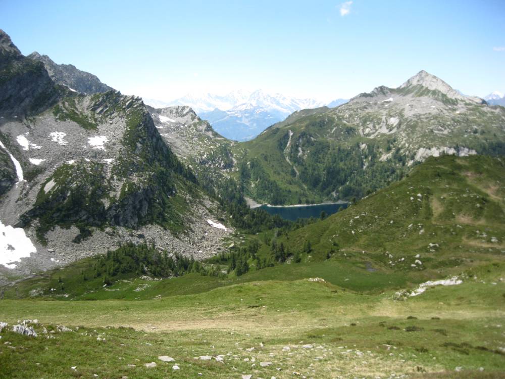 IMG_0888 (2)