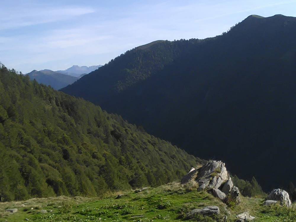 IMG_20210928_092100