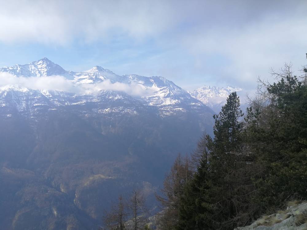 IMG_20230410_103458